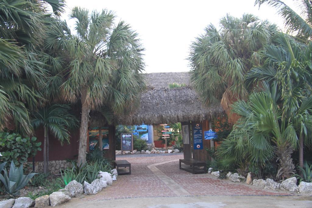Dushi na kas, villa 36 Blue Bay Bagian luar foto